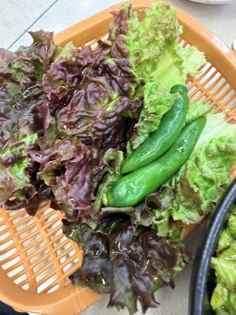 태영막창 기본반찬 - 상추, 고추 쌈채소